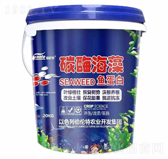 ̼ø�����~����-������