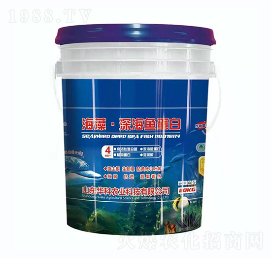 ���塤��~(y��)����-�A���r(n��ng)�I(y��)