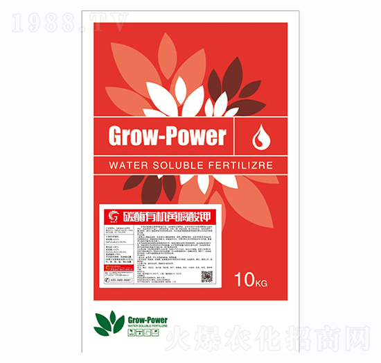 ̼ø�ЙC�S����-��ȶ�