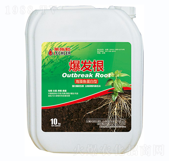 �����~(y��)������-���l(f��)��-������