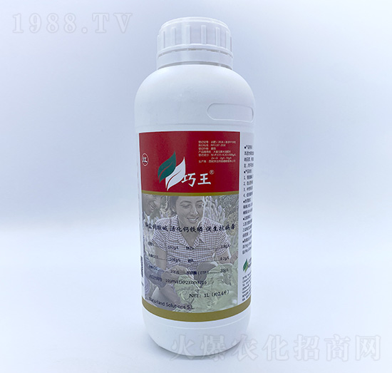 ����-��Ȼ��