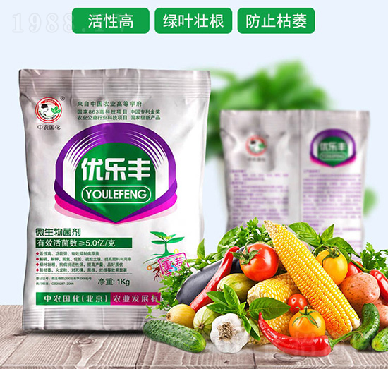 ΢�������-��(y��u)���S-���r����