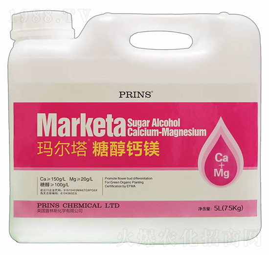 �������Ǵ��}�V-Ӣ��(gu��)����˹