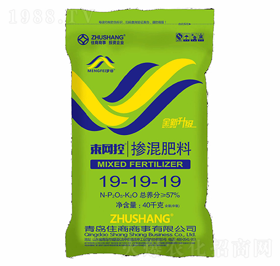 ���W�ؓ������19-19-19-ס������