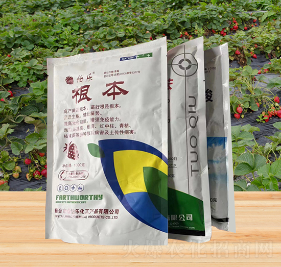 �����M��-�𲮘�