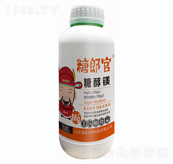 ���ɹ١��Ǵ��V-嫲�����