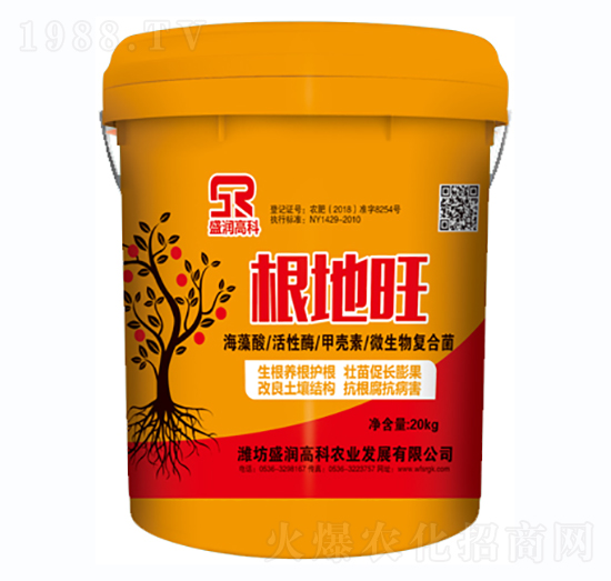 ������-ʢ���߿�