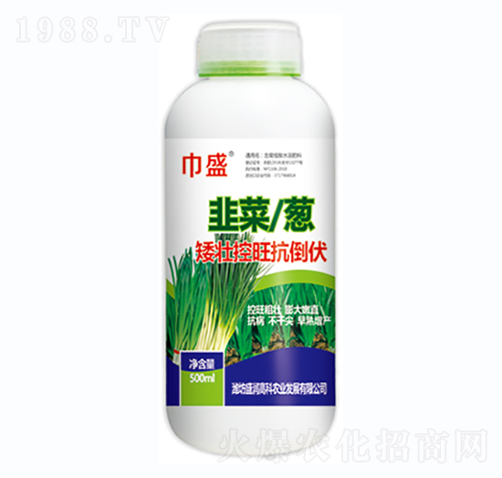 �²����[���ѿ���������-��ʢ-ʢ���߿�