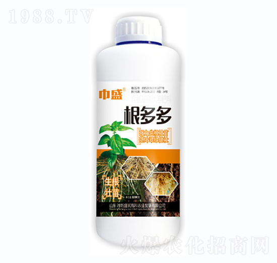 �����-��ʢ-ʢ���߿�