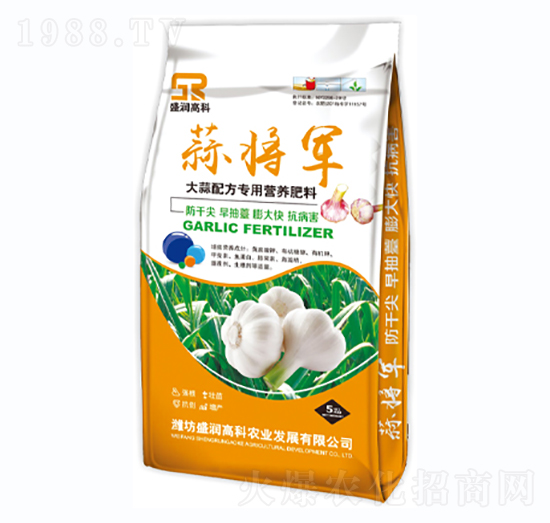 �����䷽���àI�B(y��ng)����-�⌢܊-ʢ���߿�