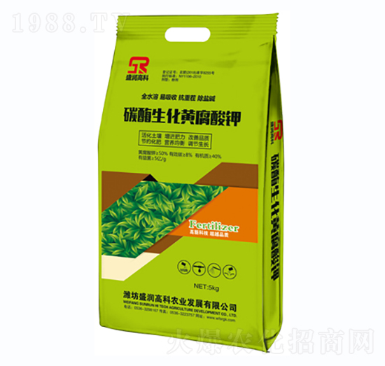 ̼ø�����S�����-ʢ��(r��n)�߿�