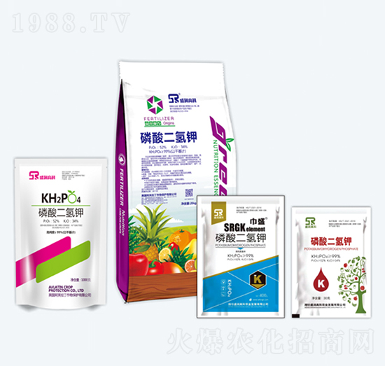 ��������-ʢ���߿�