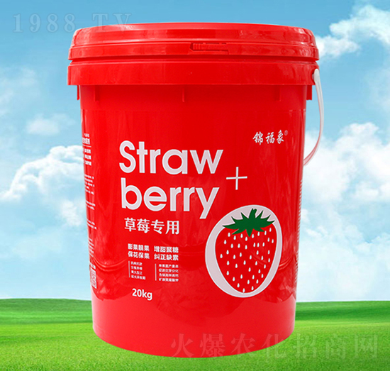 ��ݮ���÷�-�\����-�S���r(n��ng)�I(y��)