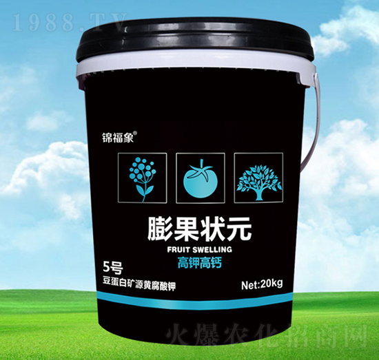 �����Ԫ-�\����-�S���r(n��ng)�I(y��)