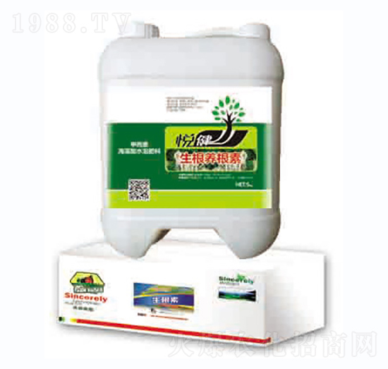 �����B(y��ng)����-����-�|�Ҙ�(l��)