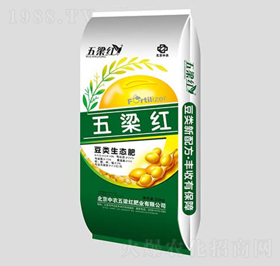 ���(l��i)���B(t��i)��-�����t