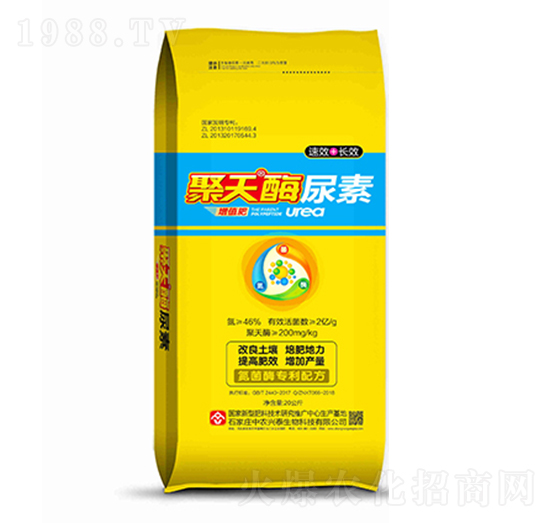 ����ø����-���r�d̩