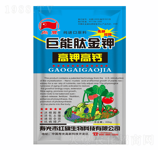 �����Ľ��-���S-�t������