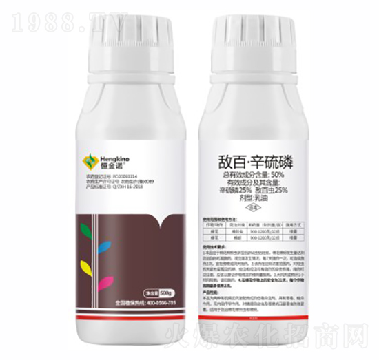 50%���١�����������-����Z