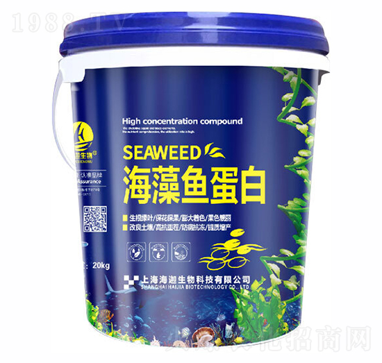 �����~����-�t������