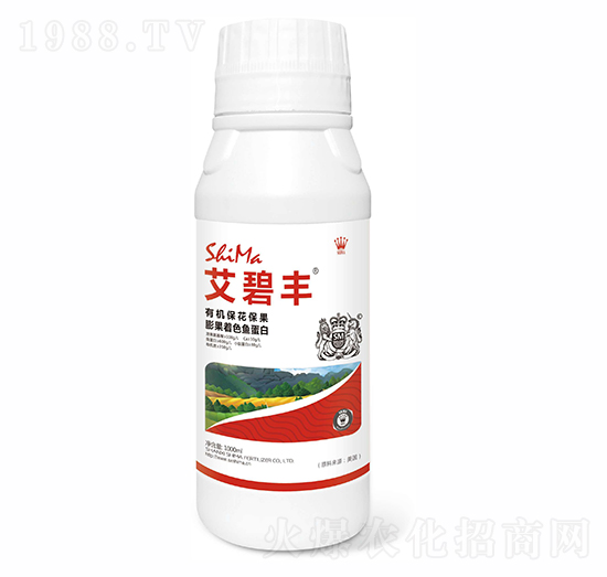 �����S-�{�R�ʘI(y��)