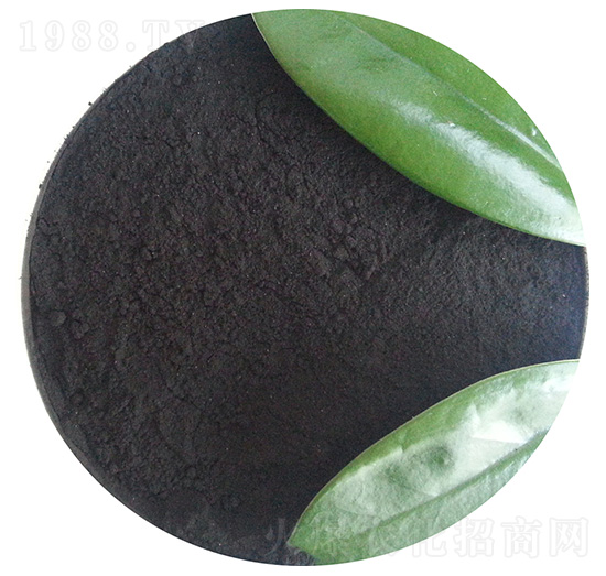 ������ֲ��ۄ�-�ֵ��S