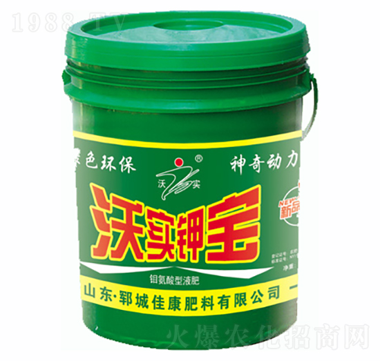 �֌�(sh��)⛌�-�ѿ�