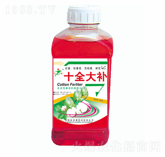 �޻�ʮȫ���a-�ѿ�