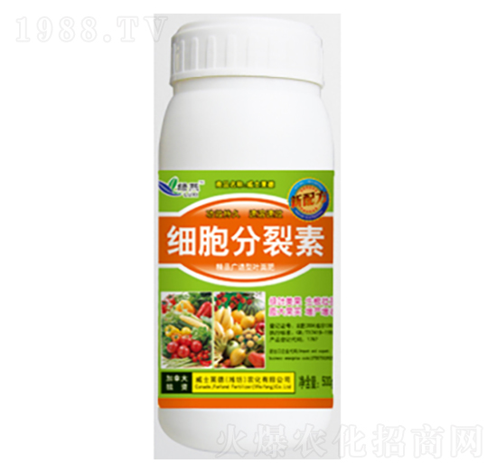 ��(x��)��������-�G��-��ʿ�R��