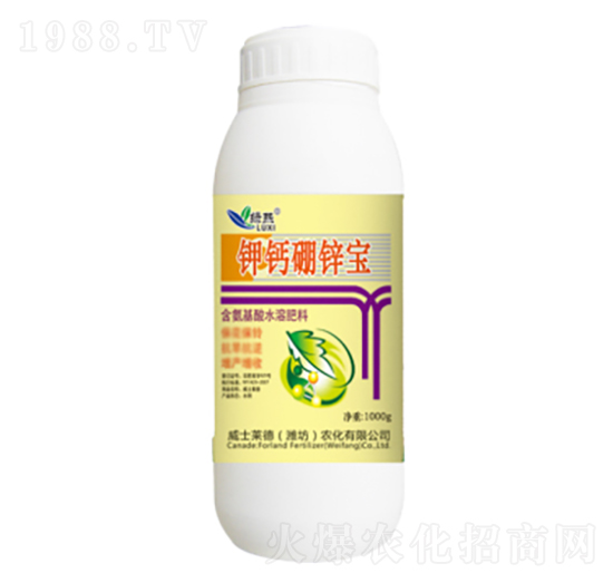 1000g��}���\��-�G��-��ʿ�R��