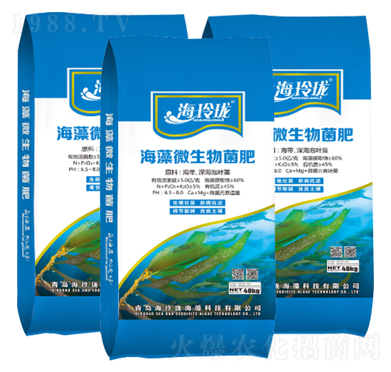 ����΢�������-���ᭇ