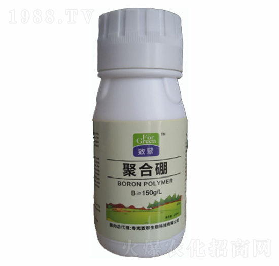 �ۺ���-�´�����