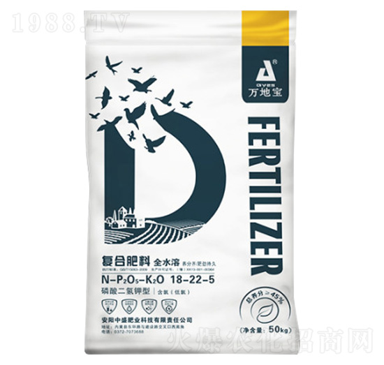 С���������������͏ͺϷ���18-22-5-�f�،�-�r������