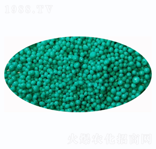 �ͺϷ����w�����G��-�Љ��r��