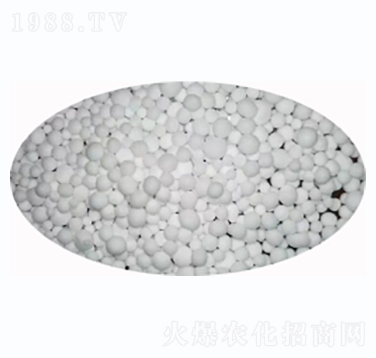 �ͺϷ����w�����ף�-�Љ��r��