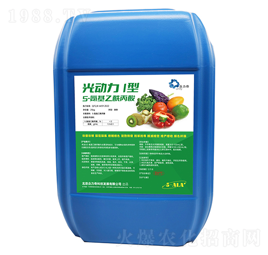 5-������������-�����I��-������