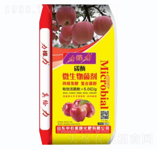 ̼ø΢�������-������-���r����