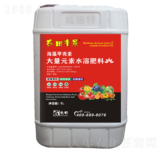 ����ך���-�r���S��-��ʩ��