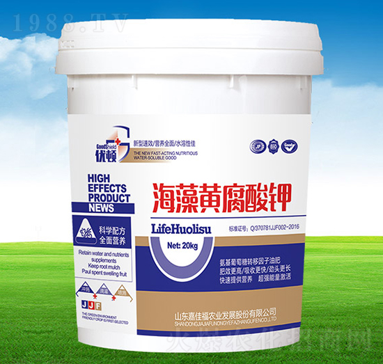 �������S�����-��(y��u)�D-�μѸ�