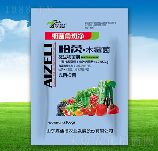 ���ġ�ľù��-�����ǰ߃�-�μѸ�