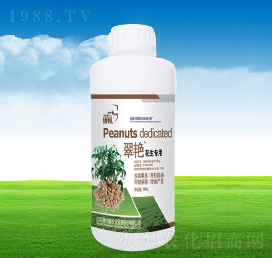 ���G��������-�μѸ�