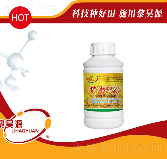 �o��120��ƿ�b��-���Դ