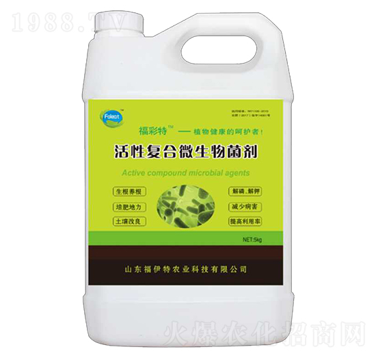 ���ԏ�(f��)��΢�������-������-������