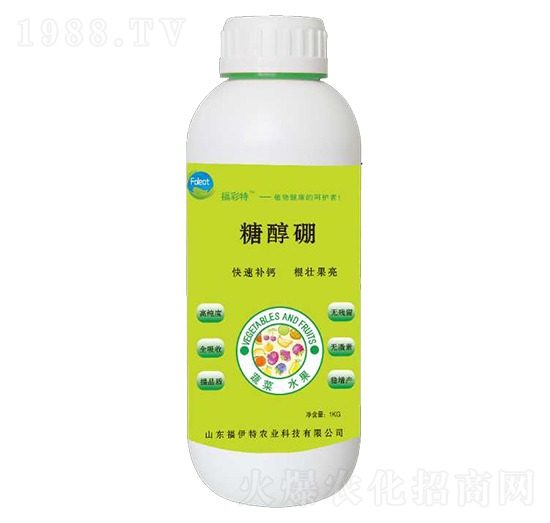 �Ǵ���-������-������