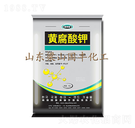 4kg�S�����-���S�ʘI(y��)