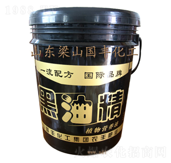 ���;�-��(gu��)�S�ʘI(y��)