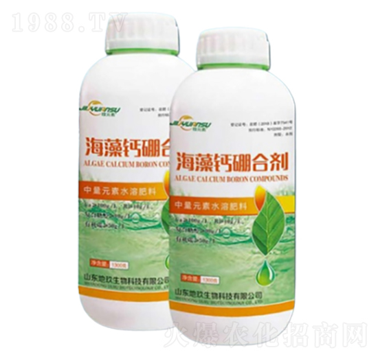 �����}��τ�-�ؾ�����