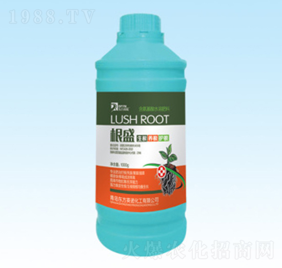 ��ʢ-�|��Ӣ�Z