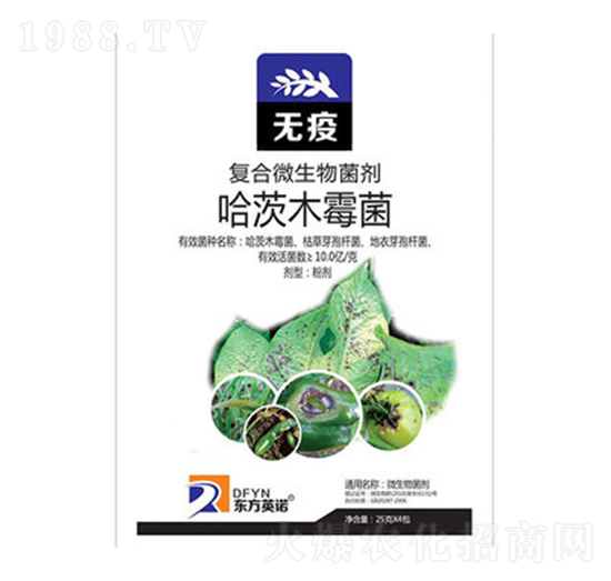 ����ľù��-�o(w��)��-�|��Ӣ�Z