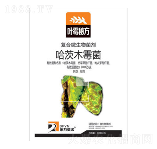 ����ľù��-�~ù�ط�-�|��Ӣ�Z